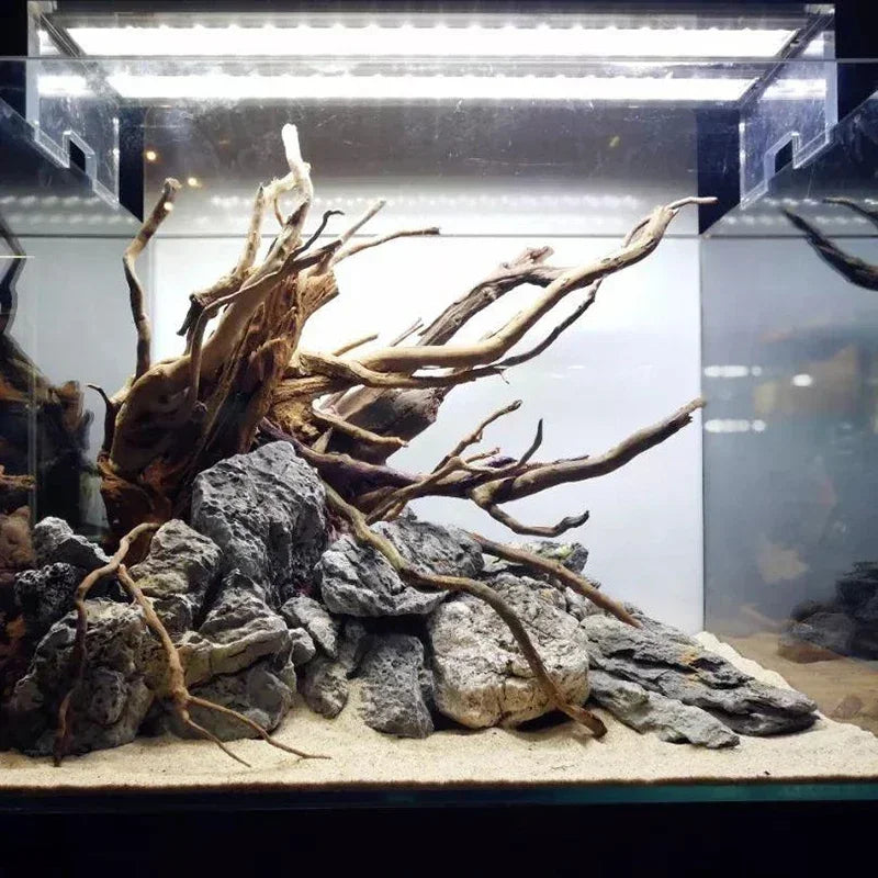 Hign-concerned Driftwood Aquarium Decoration Natural Wooden Roots