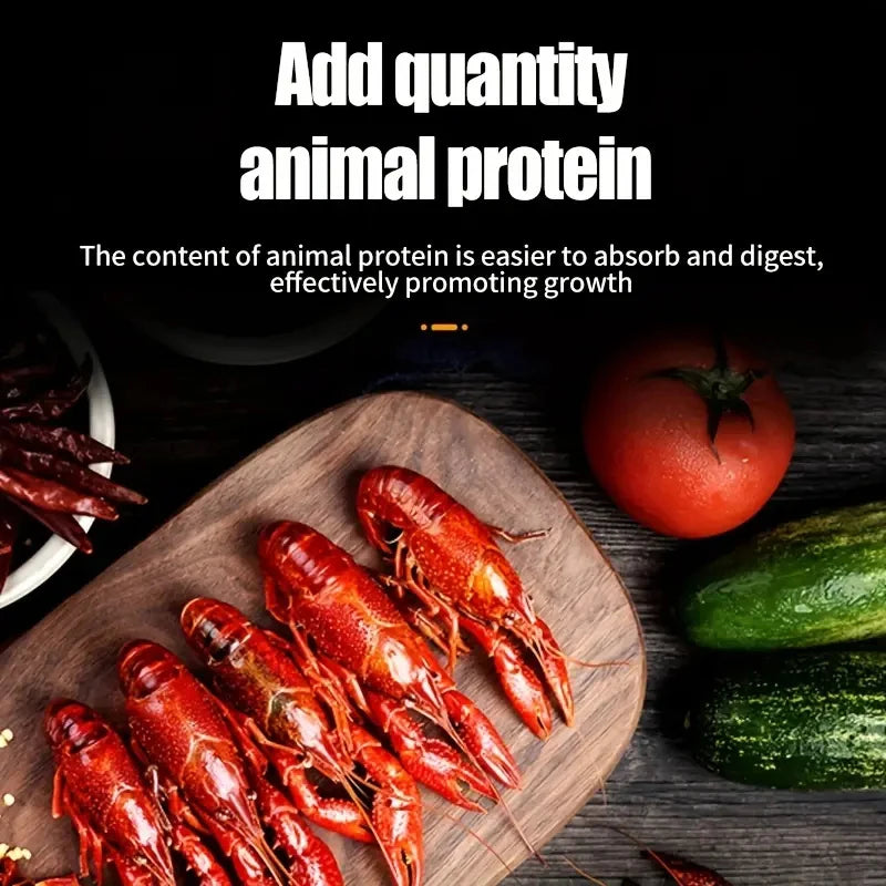 Hign-concerned Goldfish Variety Pellets Balanced Diet For Aquarium Fish