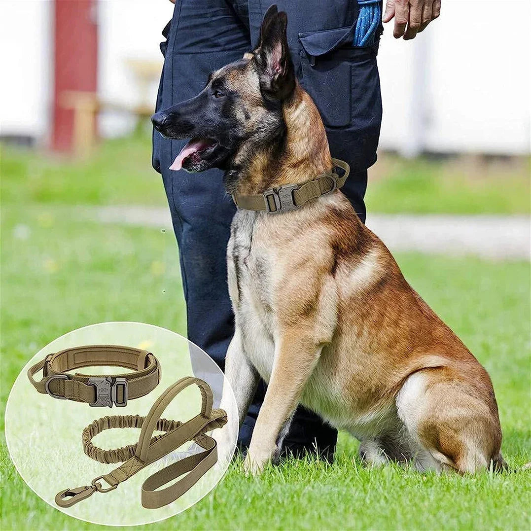 JANPET Adjustable Tactical Dog Leash And Nylon Collar For MediumToLarge