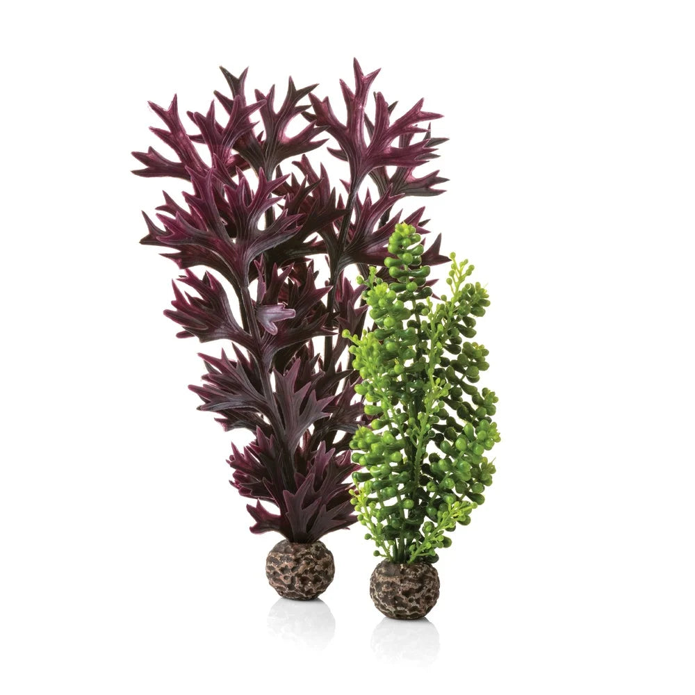 XMSJ Sea Pearls Kelp Plant Set Aquarium Decorations