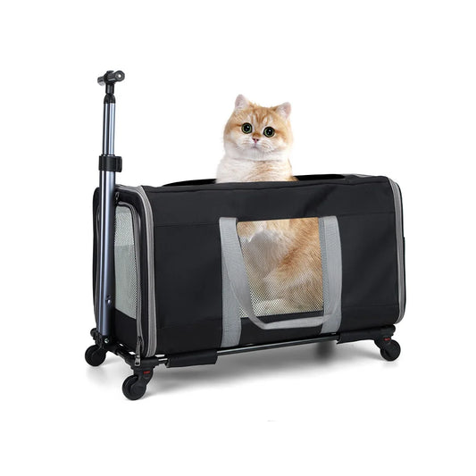 Breed Cat Trolley For Two Cats Transport Carrier With Belts