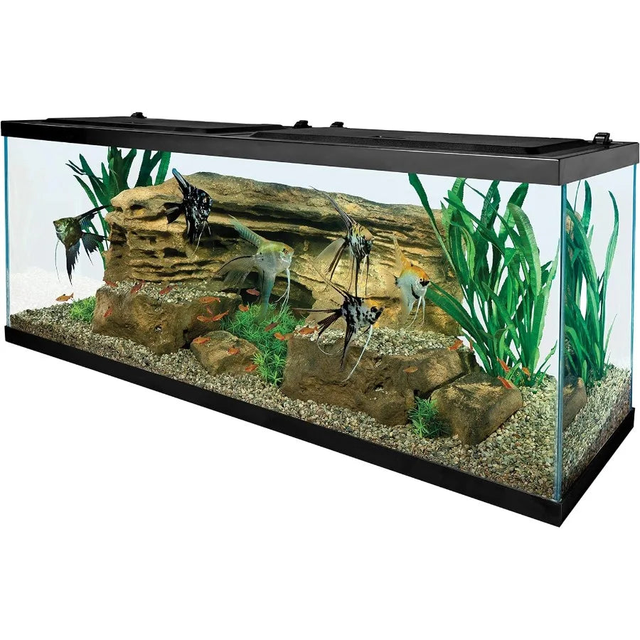 Hign-concerned Rectangular Glass Aquarium With Builtin Filtration