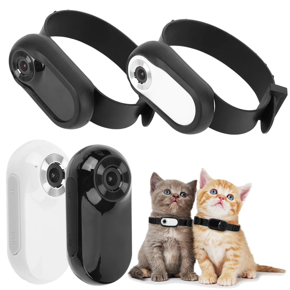 APWIKOGER HD 1080P Wireless Pet Collar Camera For Dogs Cats