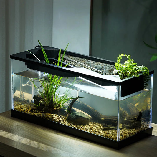 Hign-concerned Aquarium Tank With Built In Light And Water Pump