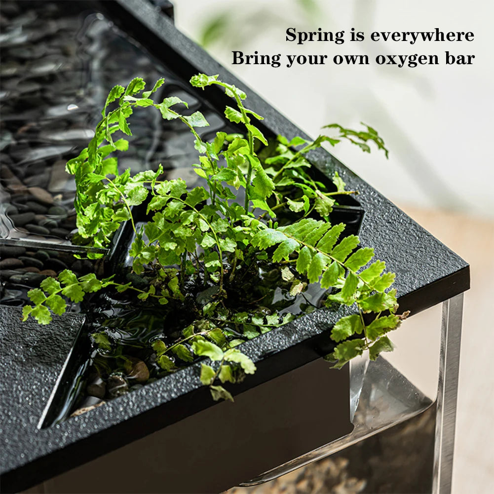 Hign-concerned Aquarium Tank With Built In Light And Water Pump