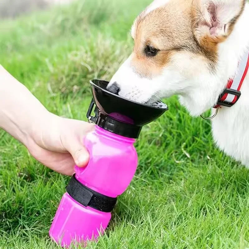 Hign Concerned Outdoor Portable Pet Water Bottle For Pets