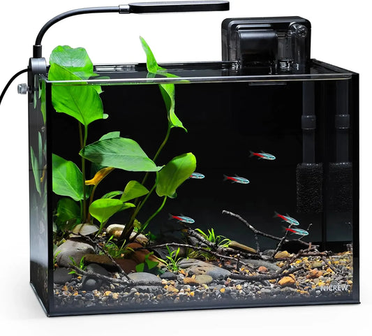 Nano Nature Rimless Aquarium Kit for Desktop Fish Tank