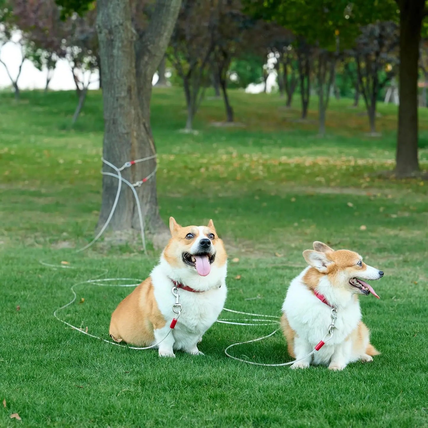 Durable Steel Tie Out Cable For Dogs With PVC Coating