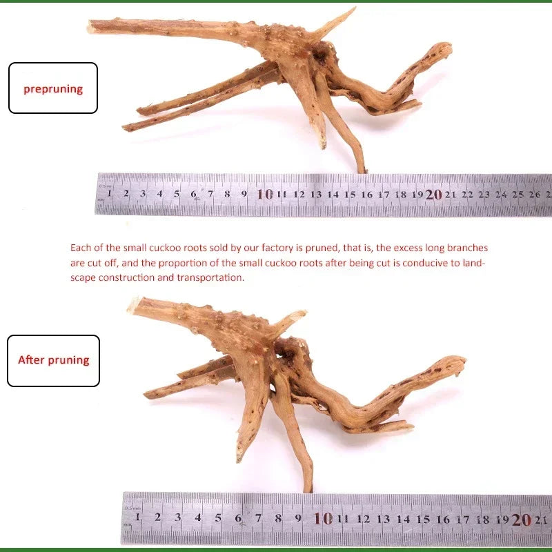 Hign-concerned Driftwood Aquarium Decoration Natural Wooden Roots