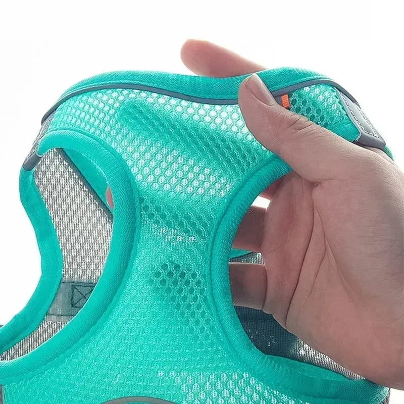 Guangdong Puppy Harness Set Adjustable Leash Vest Dogs Cats