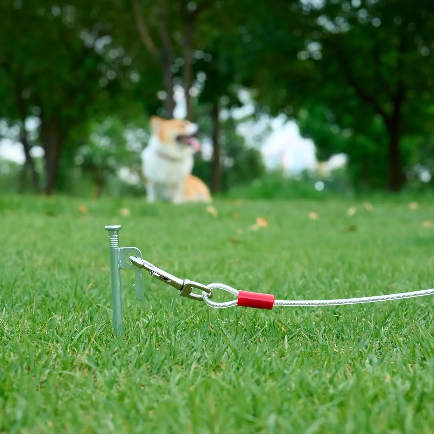 Durable Steel Tie Out Cable For Dogs With PVC Coating