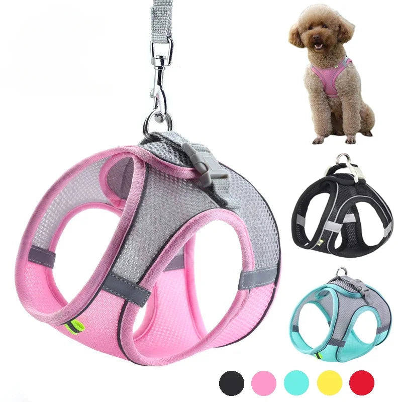 Guangdong Puppy Harness Set Adjustable Leash Vest Dogs Cats