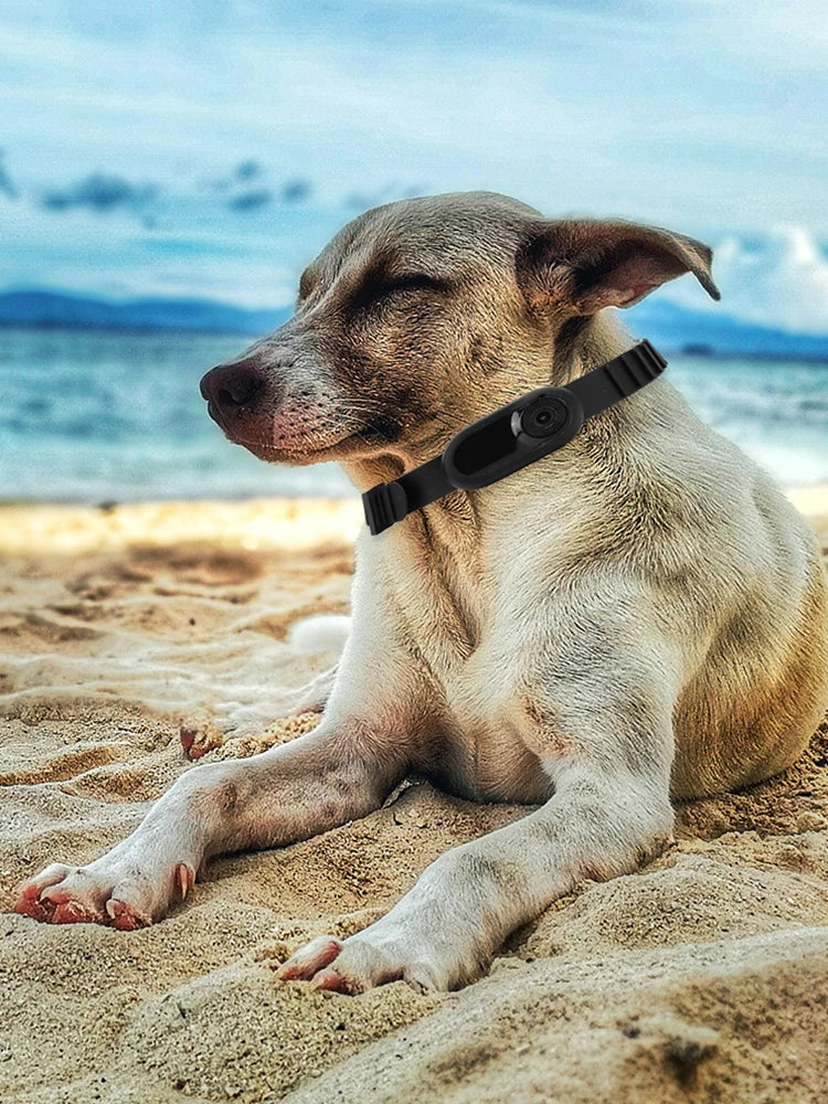 APWIKOGER HD 1080P Wireless Pet Collar Camera For Dogs Cats