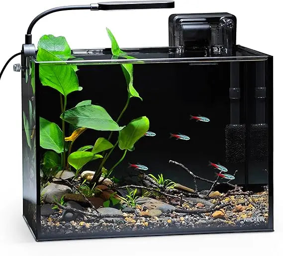 Nano Nature Rimless Aquarium Kit for Desktop Fish Tank