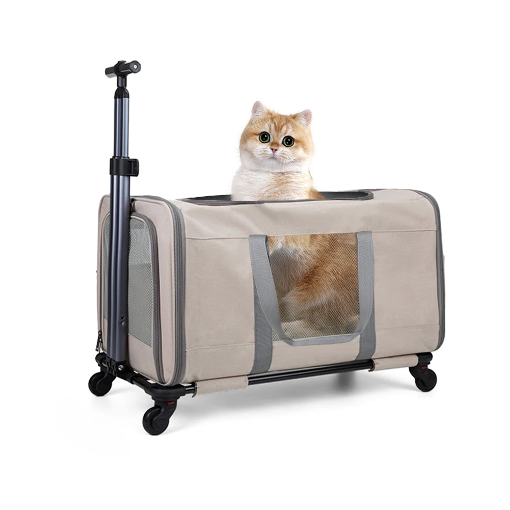 Breed Cat Trolley For Two Cats Transport Carrier With Belts