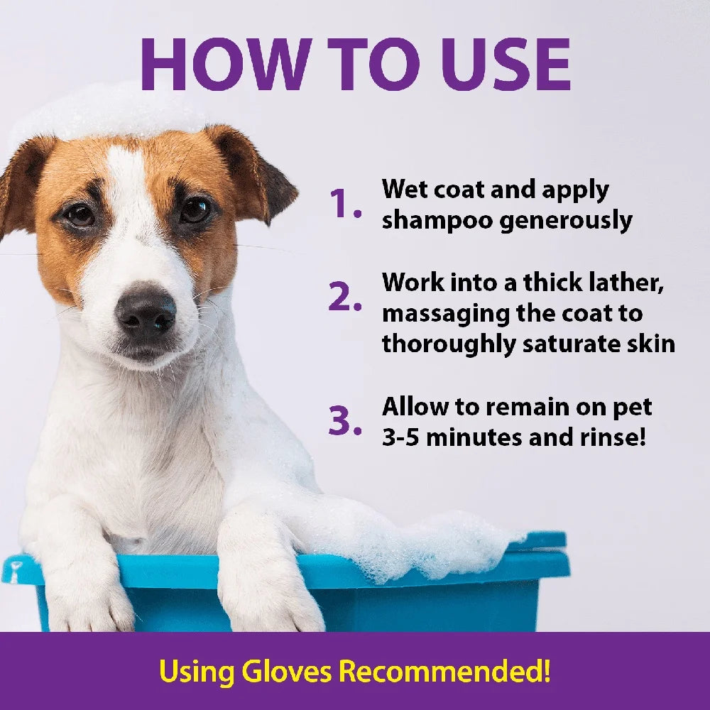 XMSJ Odor Eliminating Pet Shampoo For All Surfaces